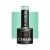 OCHO NAILS Lakier hybrydowy rainbow R10 -5 g
