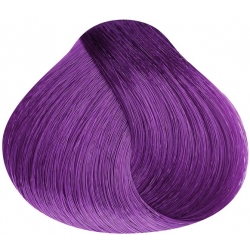 FAROUK BH Be Color Ammonia PURPLE 120 ml